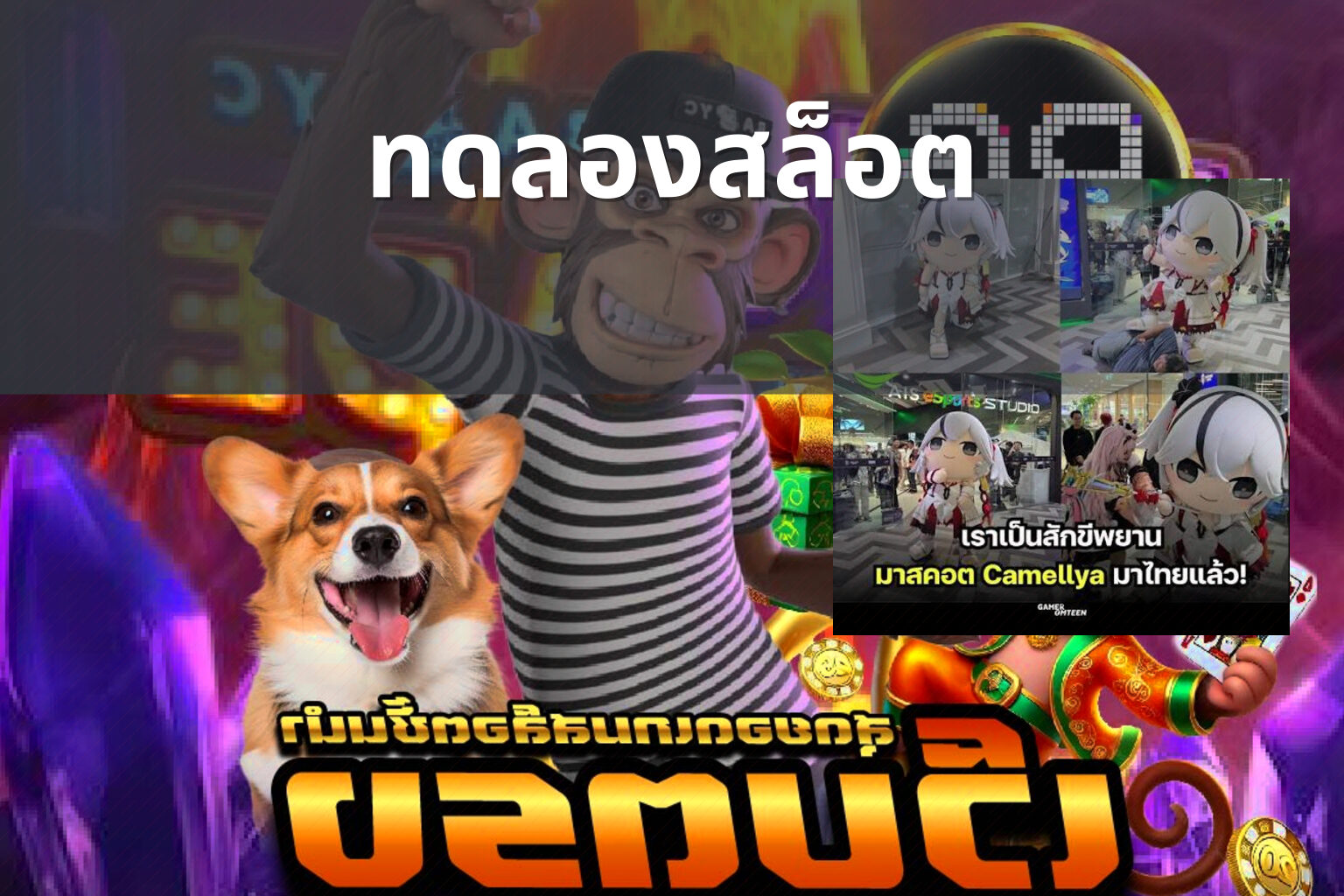 ทดลองสล็อต - slot games