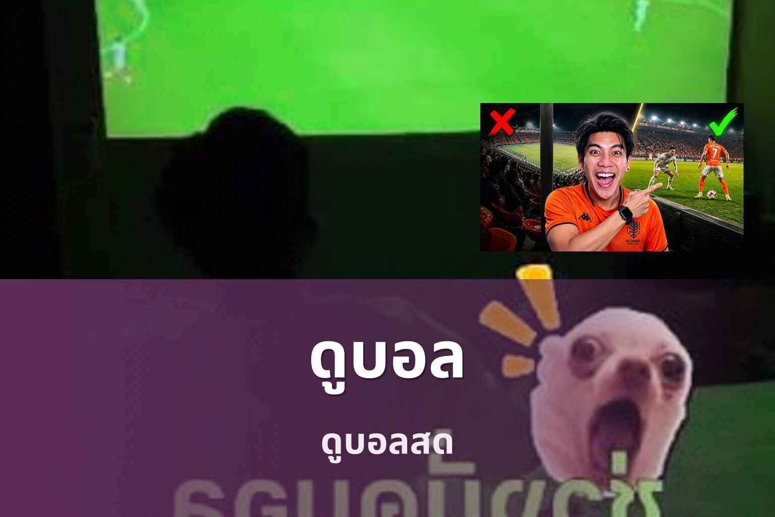 ดูบอล - watch football