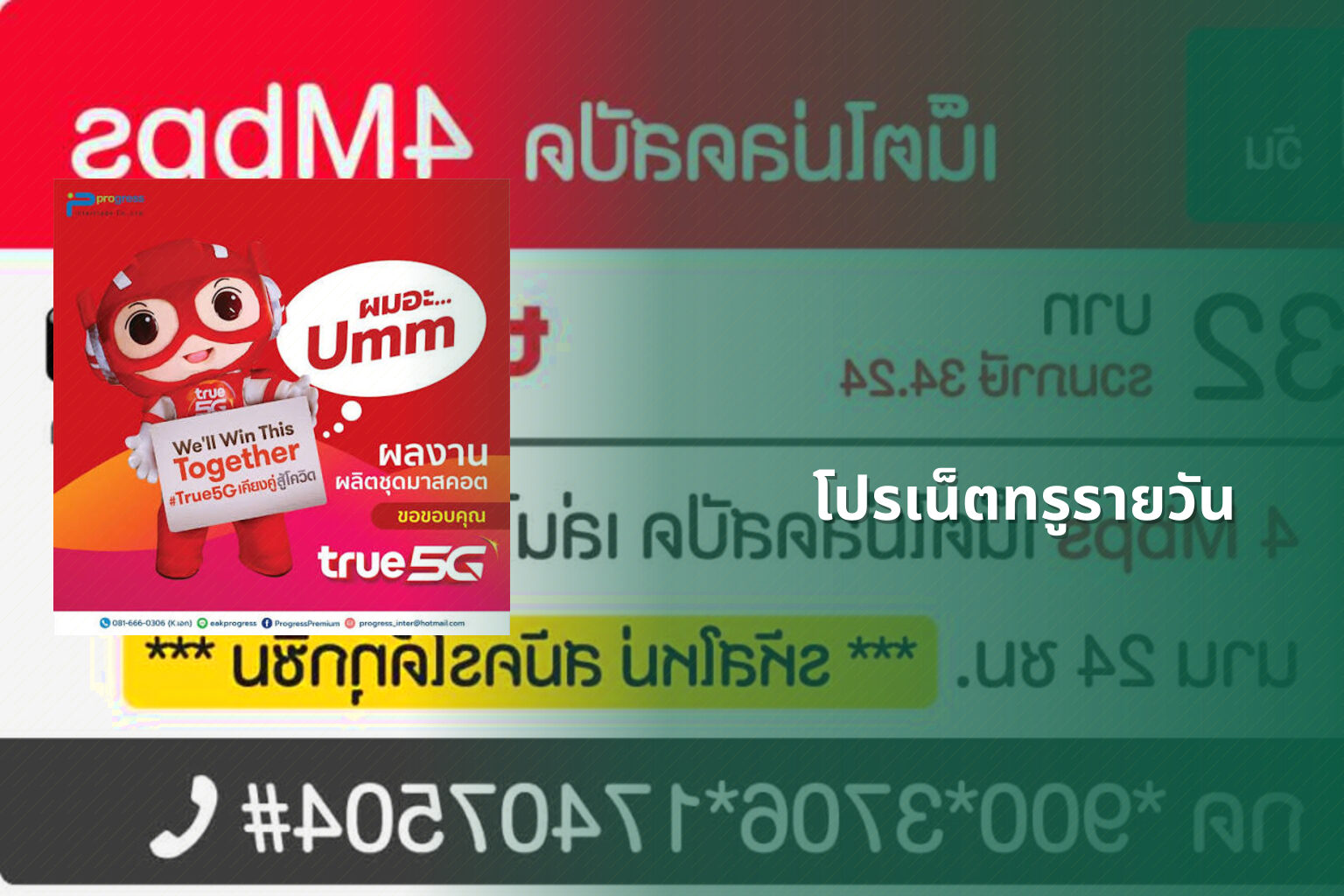 โปรเน็ตทรูรายวัน - internet services