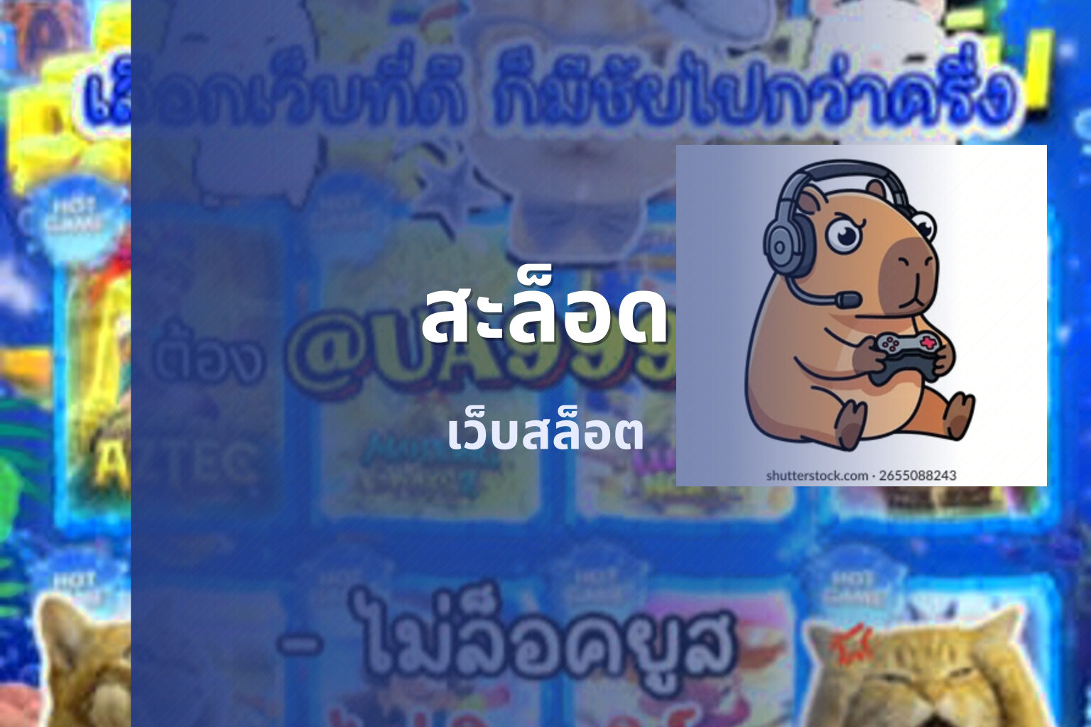 สะล็อด เว็บสล็อต