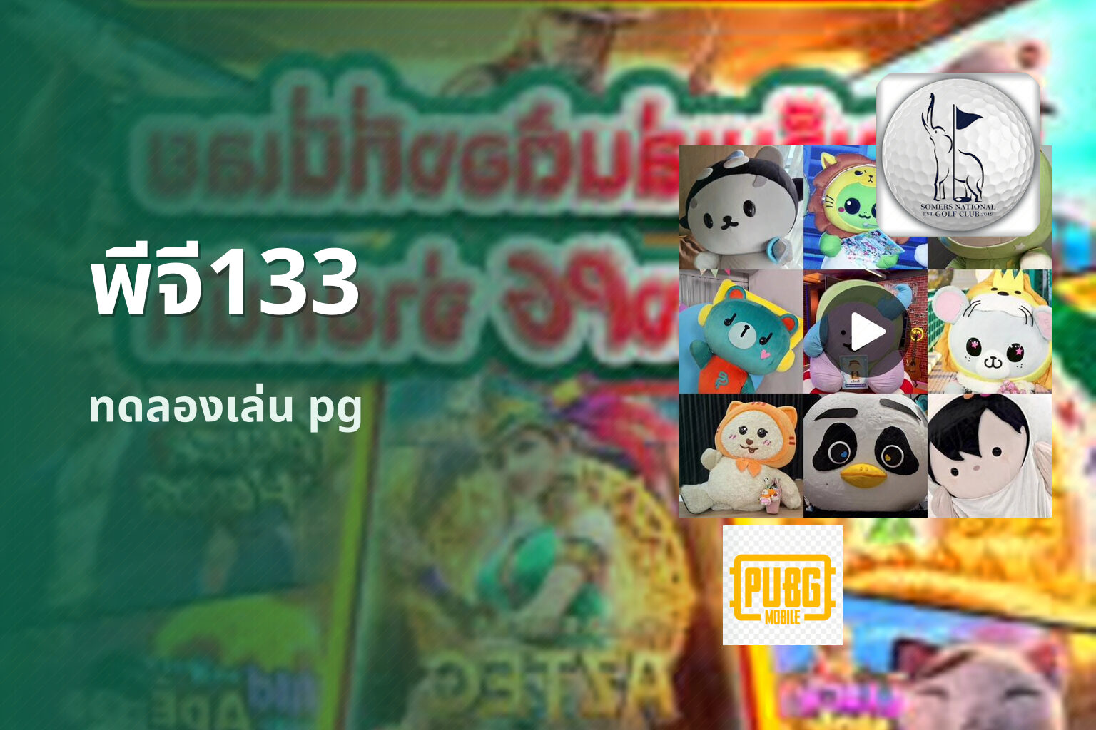 พีจี133 ทดลองเล่น pg