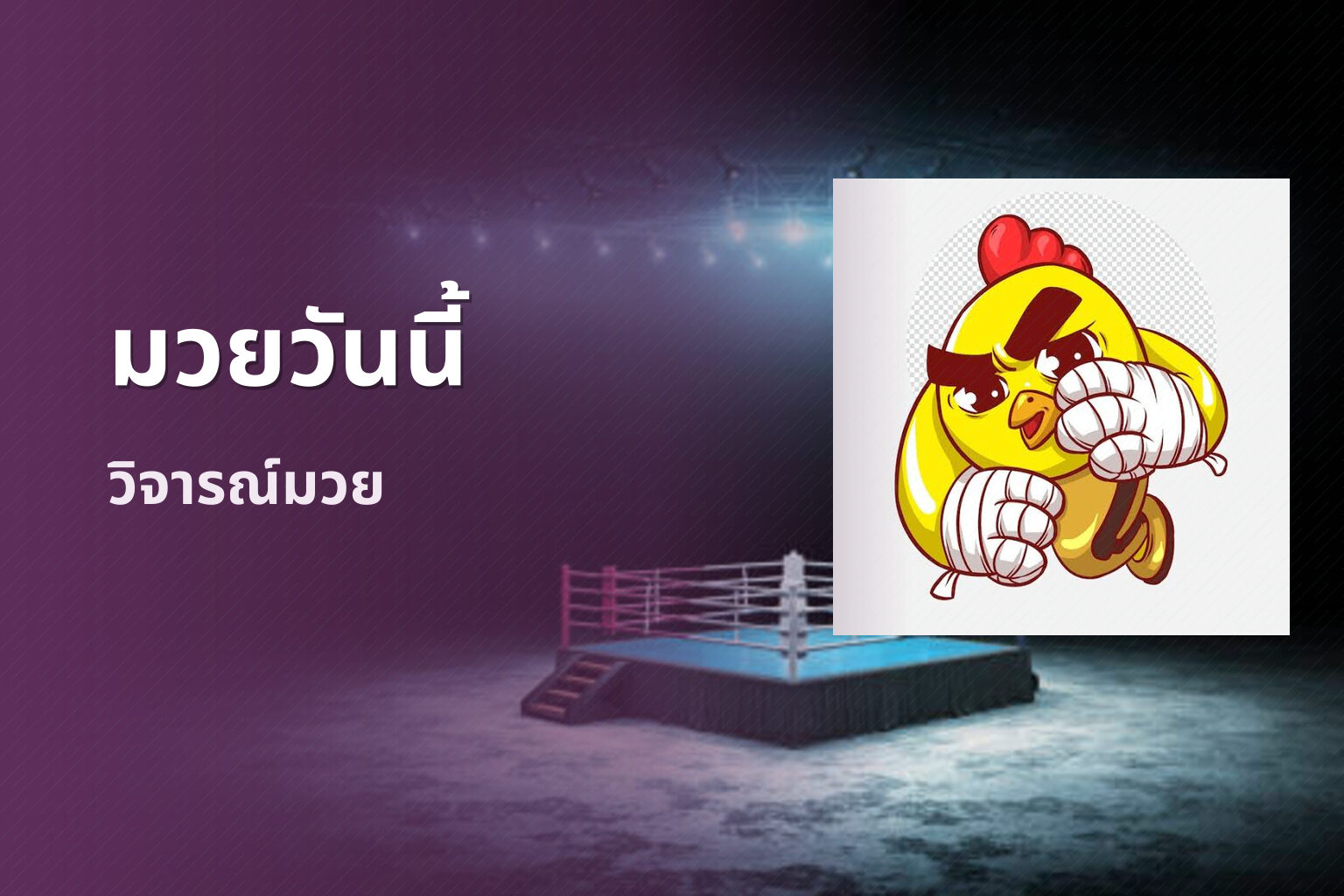 มวยวันนี้ - boxing events