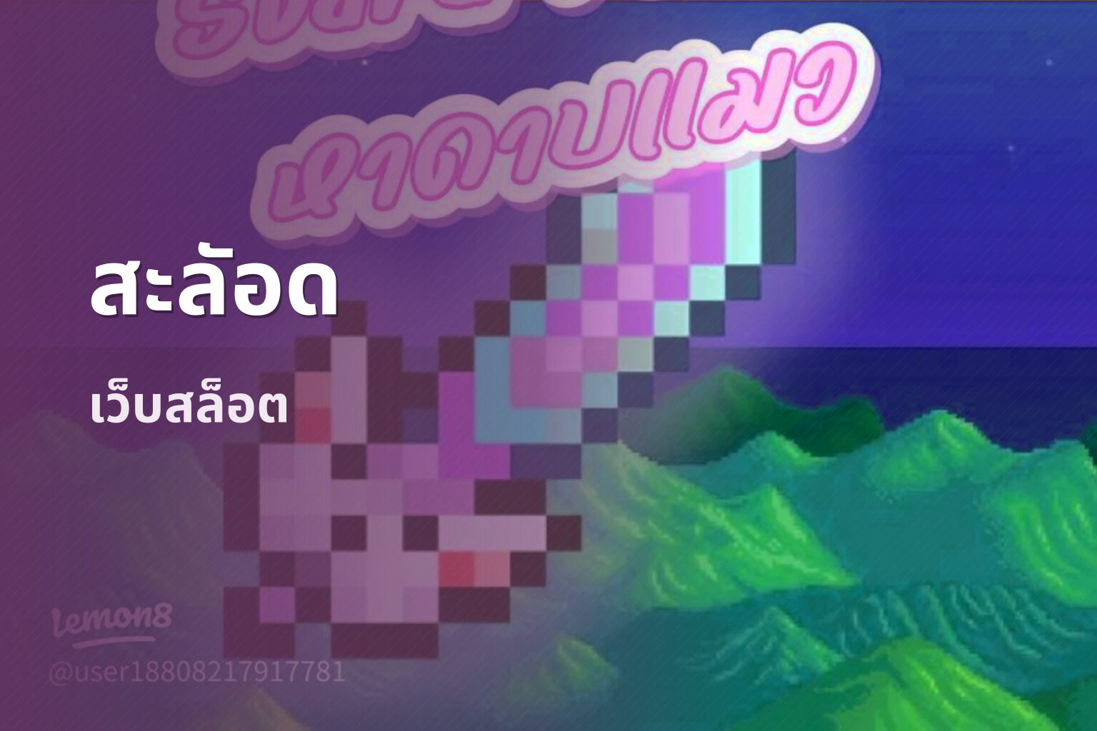 สะลัอด เว็บสล็อต