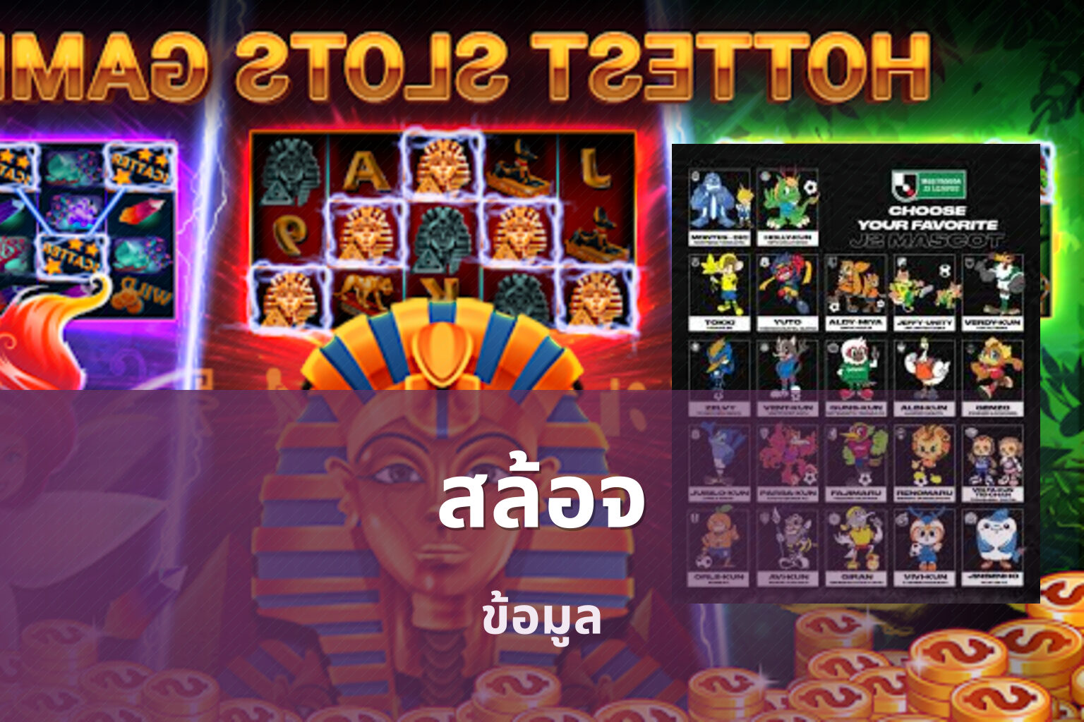 สล้อจ ข้อมูล