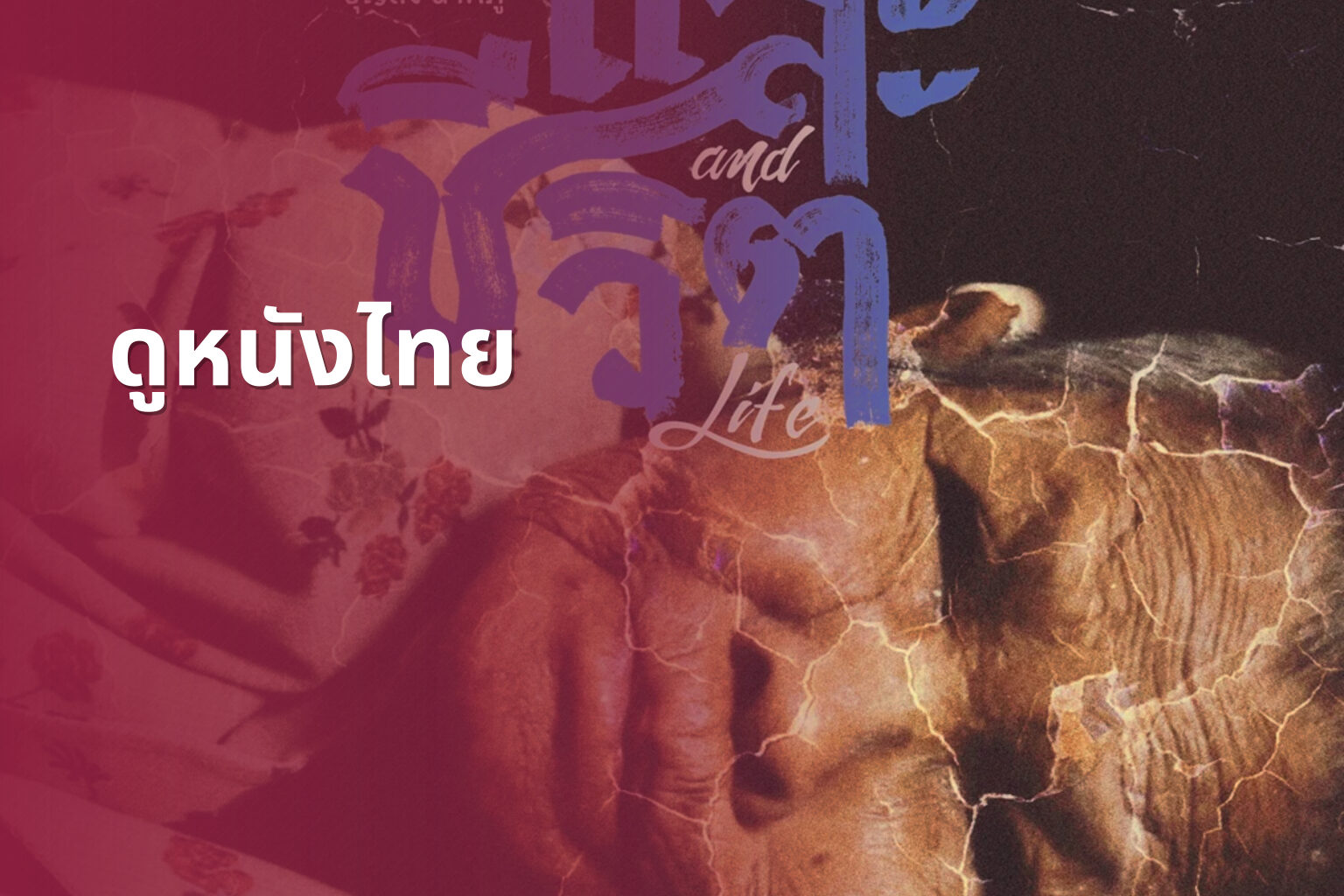 ดูหนังไทย - Thai movies