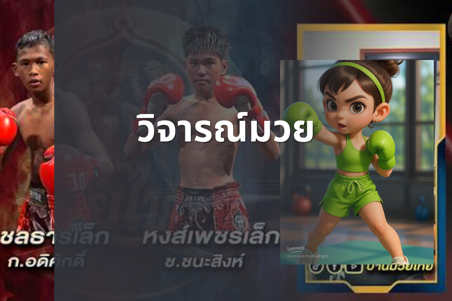 วิจารณ์มวย - boxing reviews