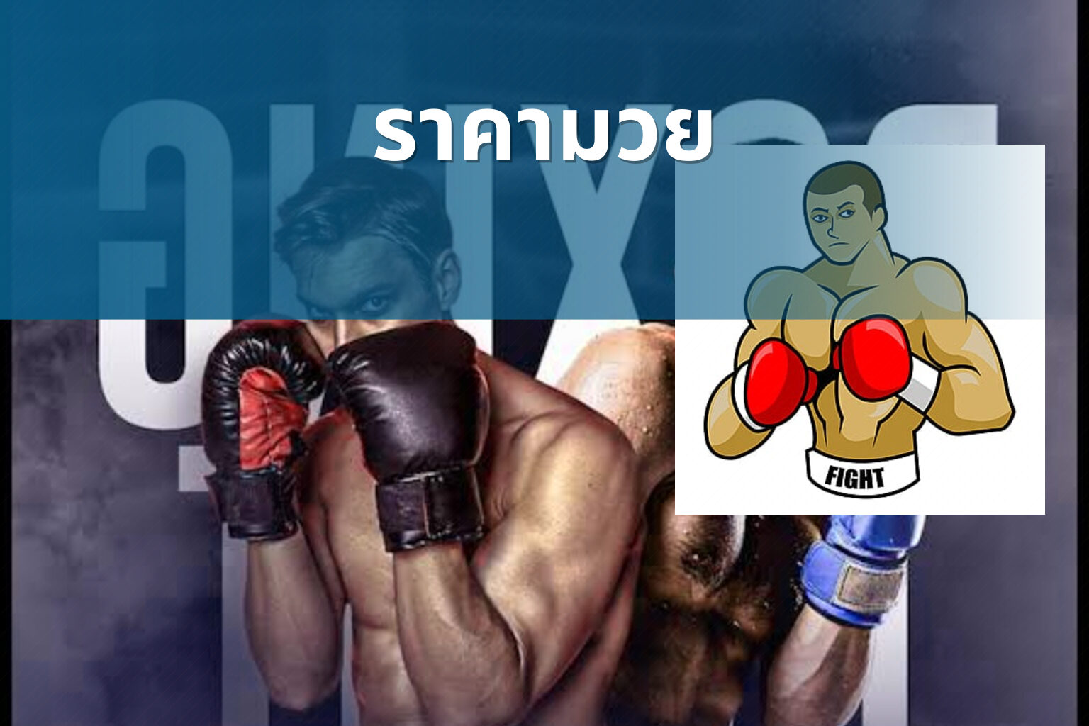 ราคามวย - boxing betting odds