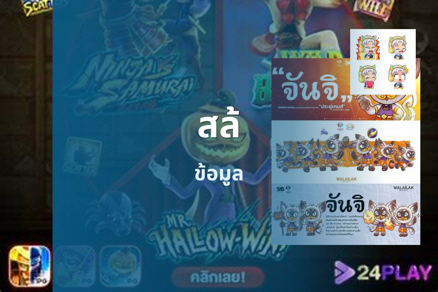 สล้ ข้อมูล