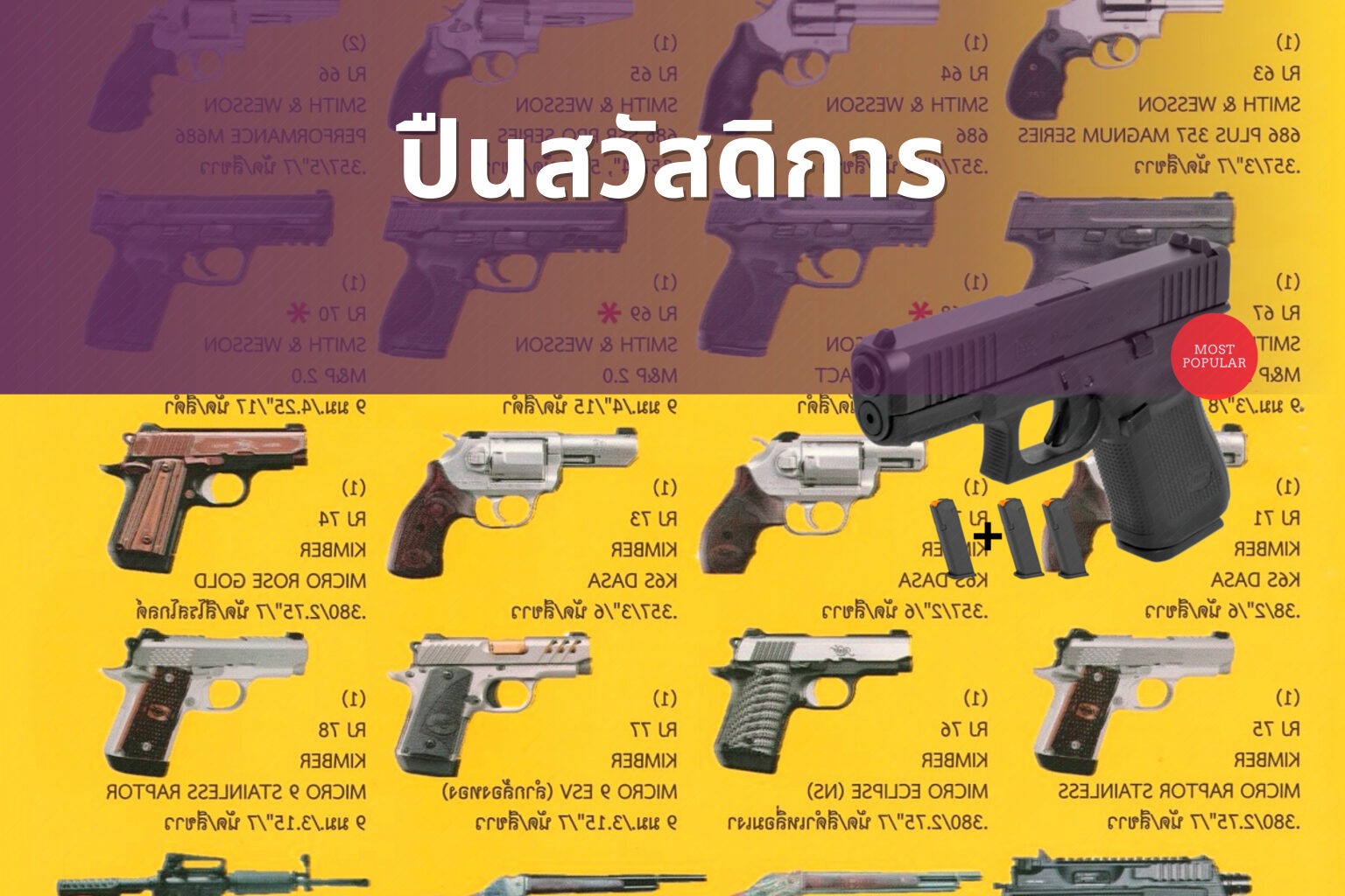 ปืนสวัสดิการ - government benefits