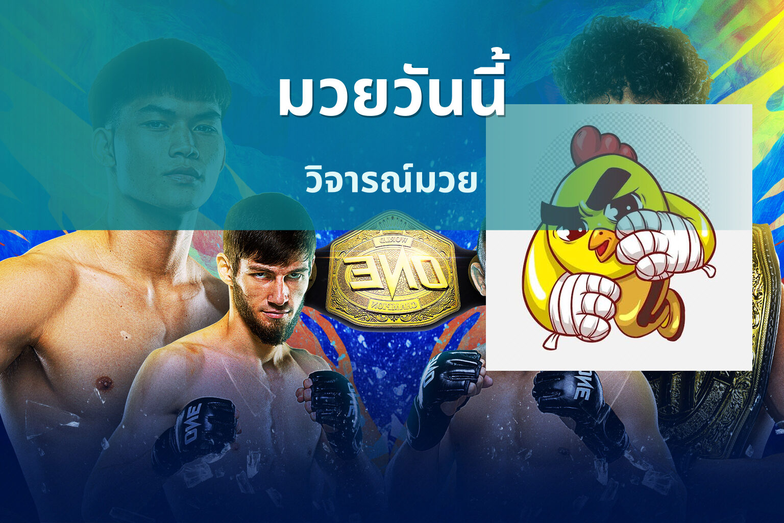 มวยวันนี้ วิจารณ์มวย