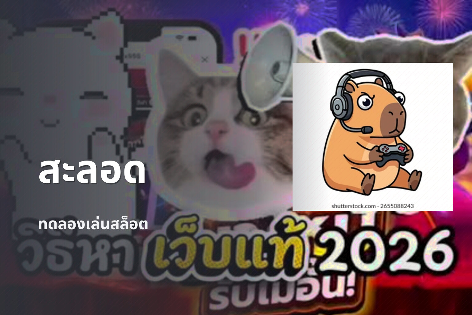 สะลอด ทดลองเล่นสล็อต