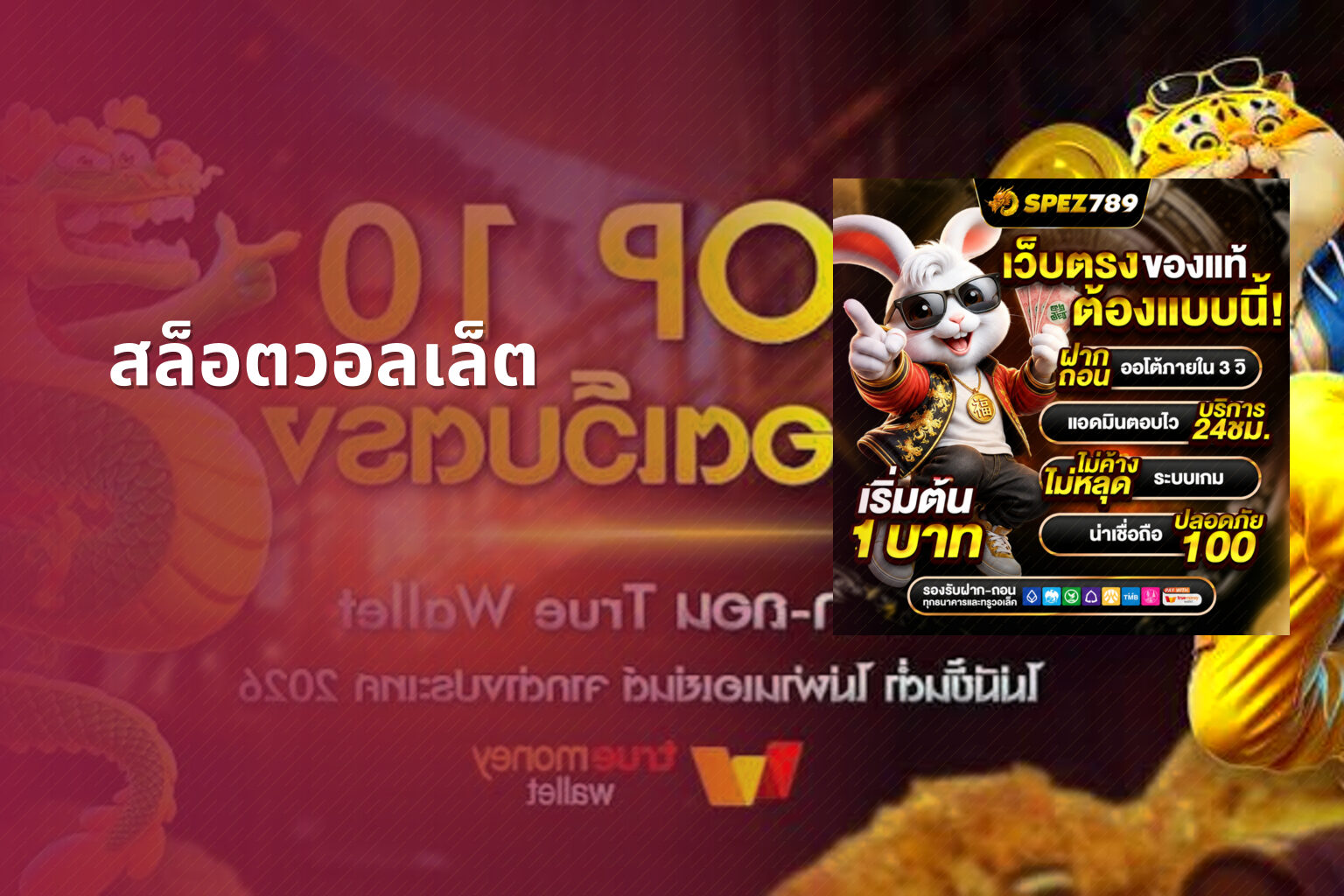 สล็อตวอลเล็ต - wallet slots